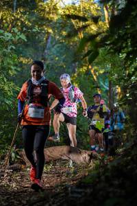 BIB: 3146
                            <button type="button" onclick="openModal(19238734)" class="btn btn-primary btn-sm float-right btn-popup" data-toggle="modal" data-target=".modal-high-quality">
                        <i class="fas fa-shopping-cart"></i> Add to Cart
                    </button>
                                            <button type="button" onclick="isThisMe(19238734, true)" class="btn btn-success btn-sm float-right btn-popup btn-isme hidden" data-toggle="tooltip" data-placement="bottom" title="นี่คือรูปของคุณใช่ไหม คลิกที่นี่เพื่อเอาเข้าอัลบั้ม">
                        <i class="fas fa-plus"></i> Add to album
                    </button>
                    <button type="button" onclick="isThisMe(19238734, false)" class="btn btn-warning btn-sm float-right btn-popup btn-isnotme hidden">
                        <i class="fas fa-ban"></i> Remove from album
                    </button>